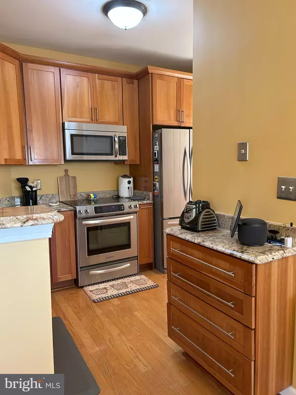 Brambleton, VA 20148,22706 BLUE ELDER TER #303
