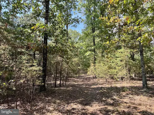 EASTER RIDGE LN #LOT 2B, Cross Junction, VA 22625