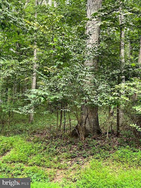 BAUMGARDNER RD S, Keymar, MD 21757