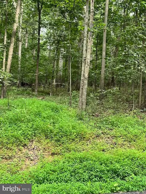 Keymar, MD 21757,BAUMGARDNER RD S