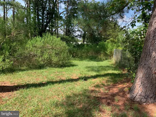 Crisfield, MD 21817,12 HALL HWY