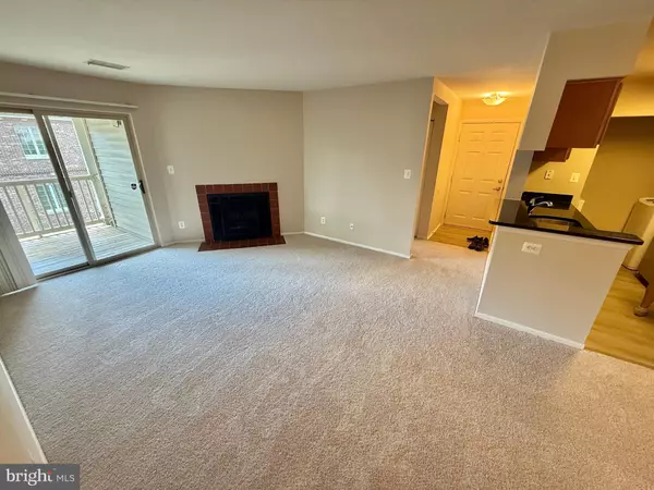 Reston, VA 20190,1711 ASCOT WAY #D