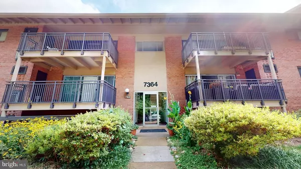 Falls Church, VA 22046,7364 LEE HWY #203