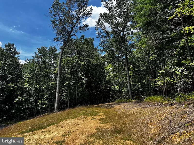 MARKHAM FARM RD, Front Royal, VA 22630