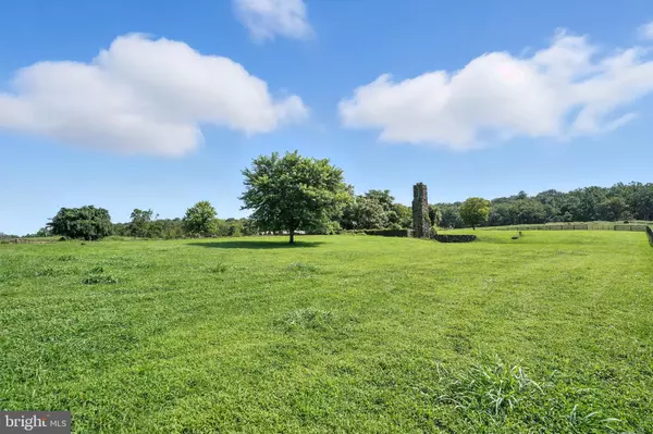 Boyce, VA 22620,3637 MILLWOOD RD