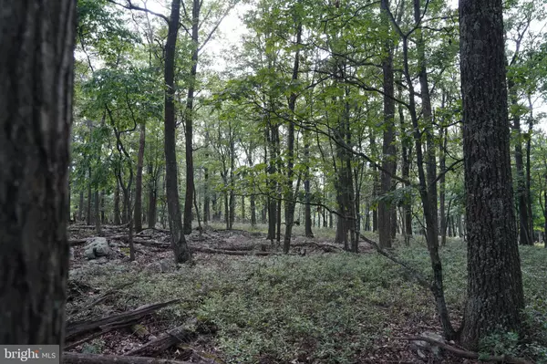 Great Cacapon, WV 25422,LOT 7 JUSTIN LN