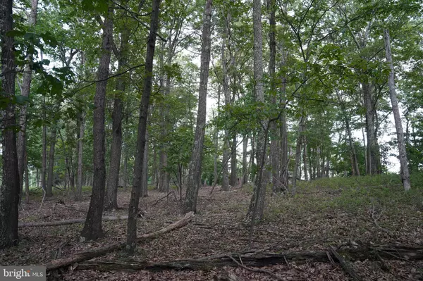 LOT 7 JUSTIN LN, Great Cacapon, WV 25422