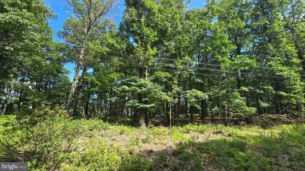 Great Cacapon, WV 25422,LOT 7 JUSTIN LN