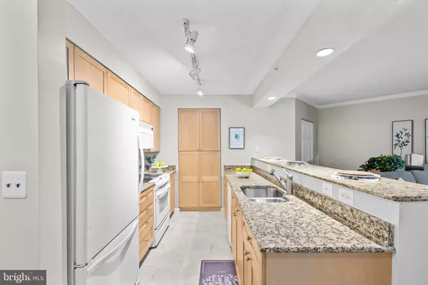 Alexandria, VA 22302,3101 N HAMPTON DR #407