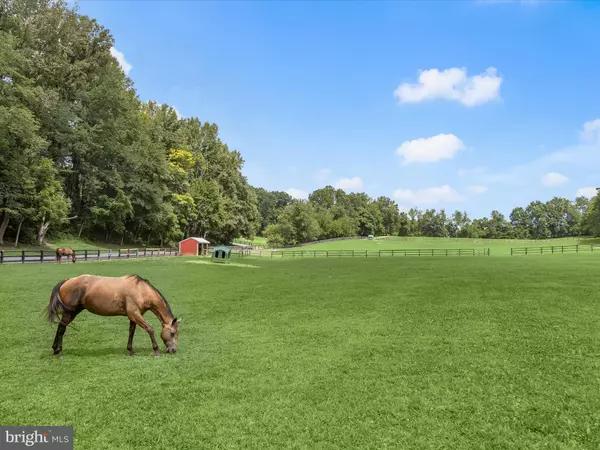 Damascus, MD 20872,10901 MOXLEY RD