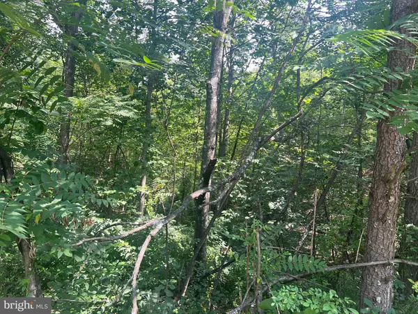 Hedgesville, WV 25427,JAYBIRD LN