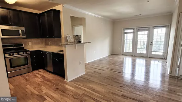 North Bethesda, MD 20852,11750 OLD GEORGETOWN RD #2526