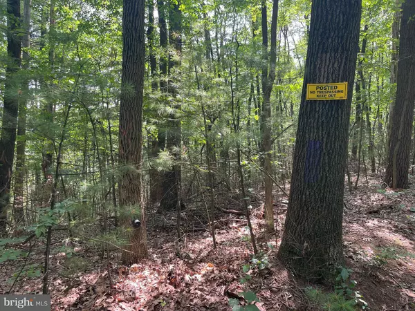 Pine Grove, PA 17963,0 LONG RUN RD