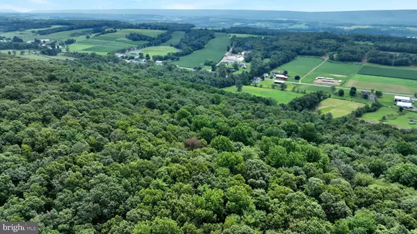 Pine Grove, PA 17963,0 LONG RUN RD