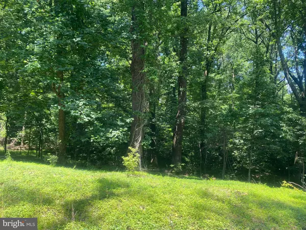 Bluemont, VA 20135,LOT 17A1 TIMBER LN