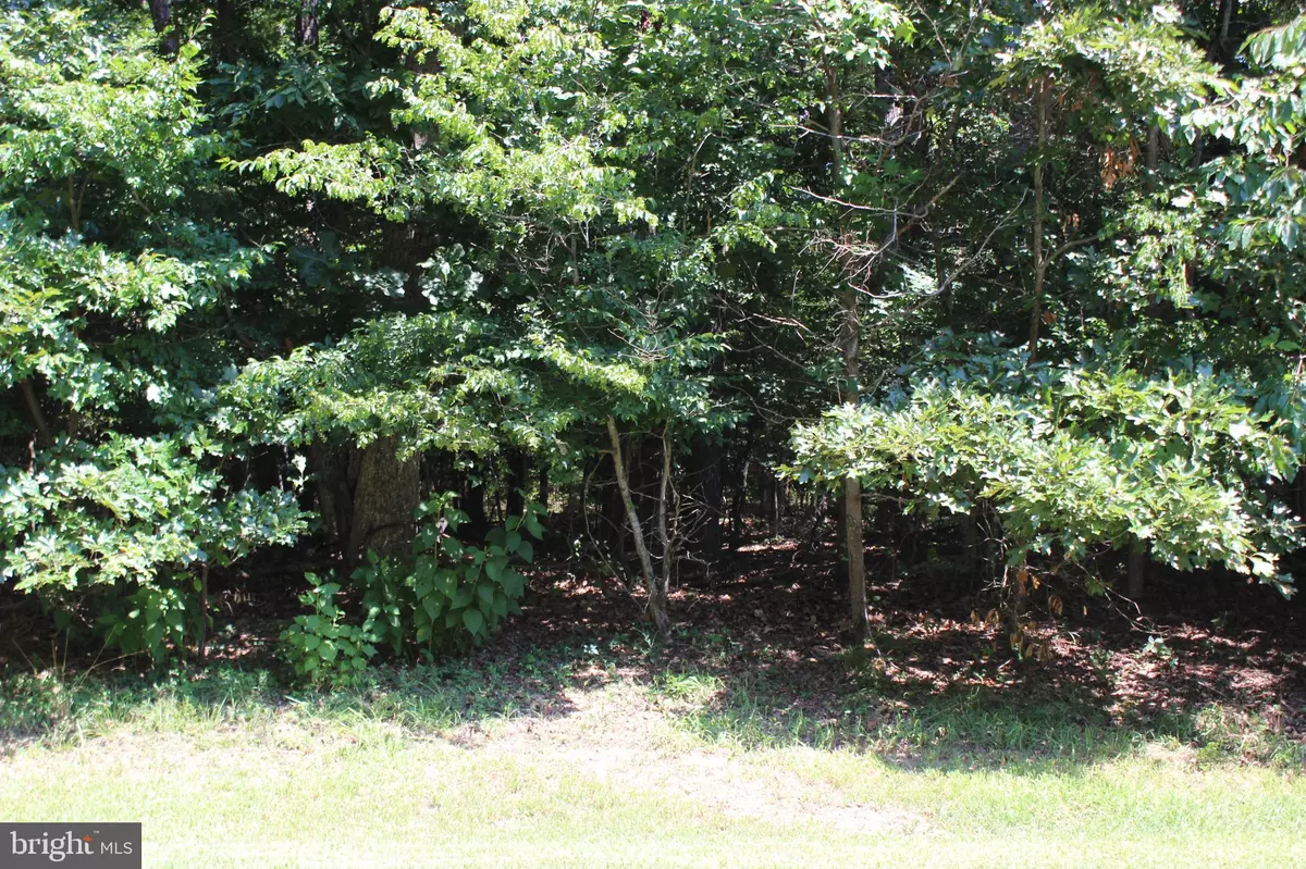 Greenbackville, VA 23356,1851 MUNITY DR