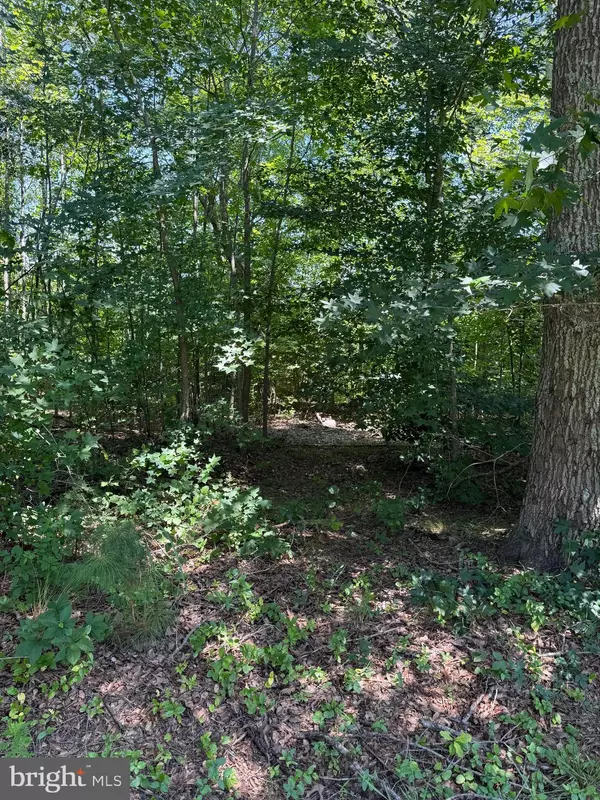 Georgetown, DE 19947,26729 SHORTLY RD