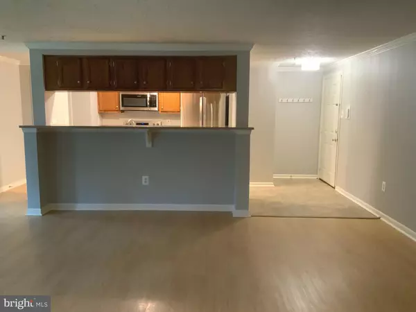 Germantown, MD 20874,13113 BRIARCLIFF TER #1-102