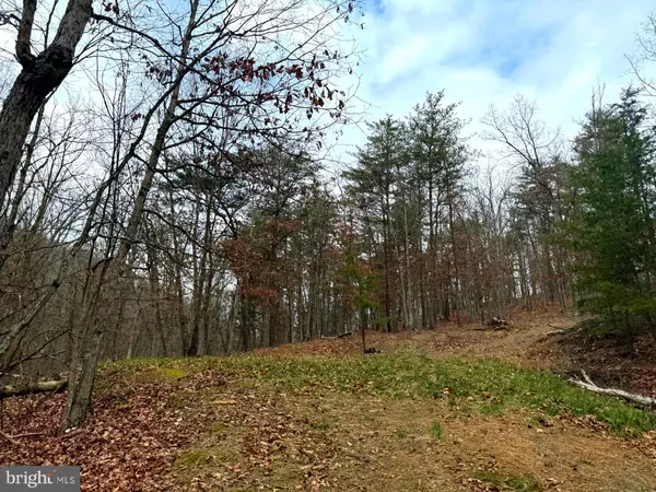 Burlington, WV 26710,6 BEAVER RUN RD