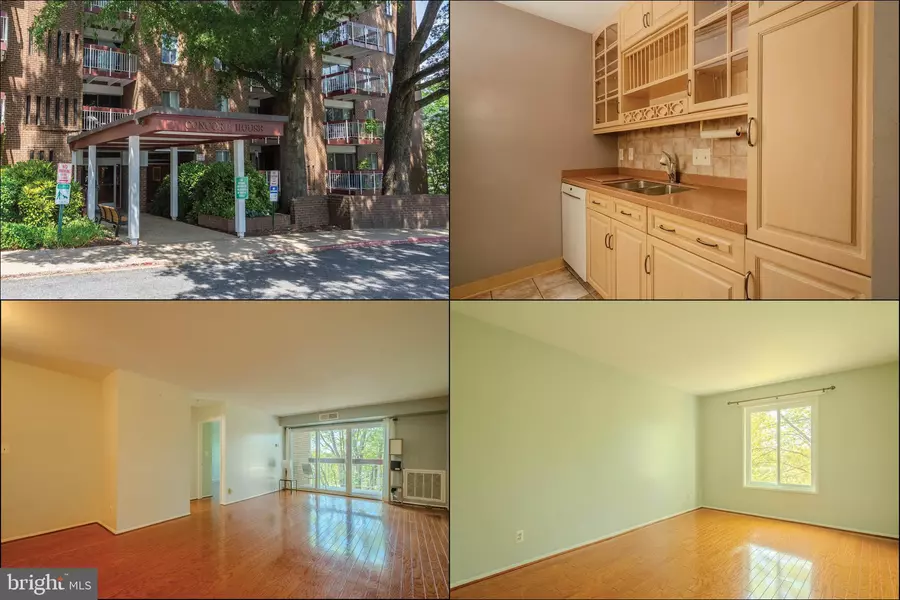 10850 GREEN MOUNTAIN CIR #411, Columbia, MD 21044