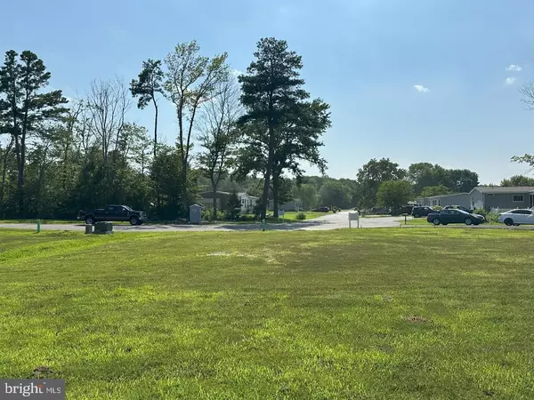 Selbyville, DE 19975,0 PALOMINO DR