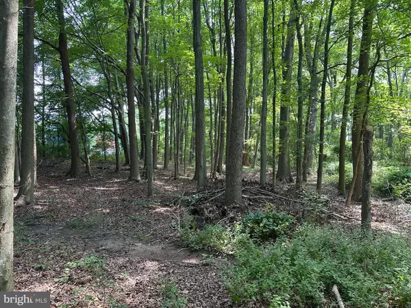 Stevensville, MD 21666,LOT 7 MAPLE DR #LOT 7