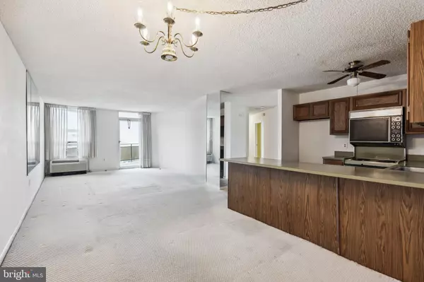 Towson, MD 21286,205 E JOPPA RD #2401