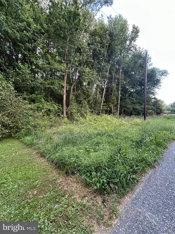 Millington, MD 21651,CHESTERVILLE FOREST RD #PARCEL 84A