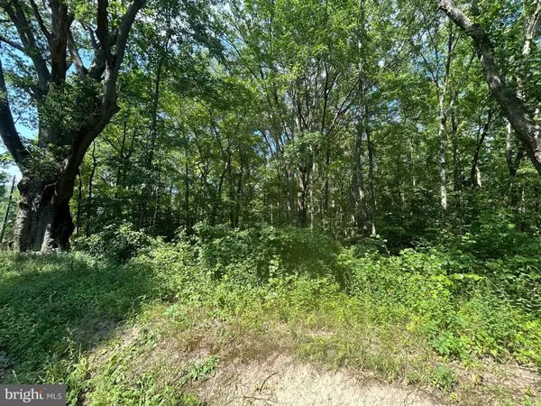 Millington, MD 21651,CHESTERVILLE FOREST RD #PARCEL 73