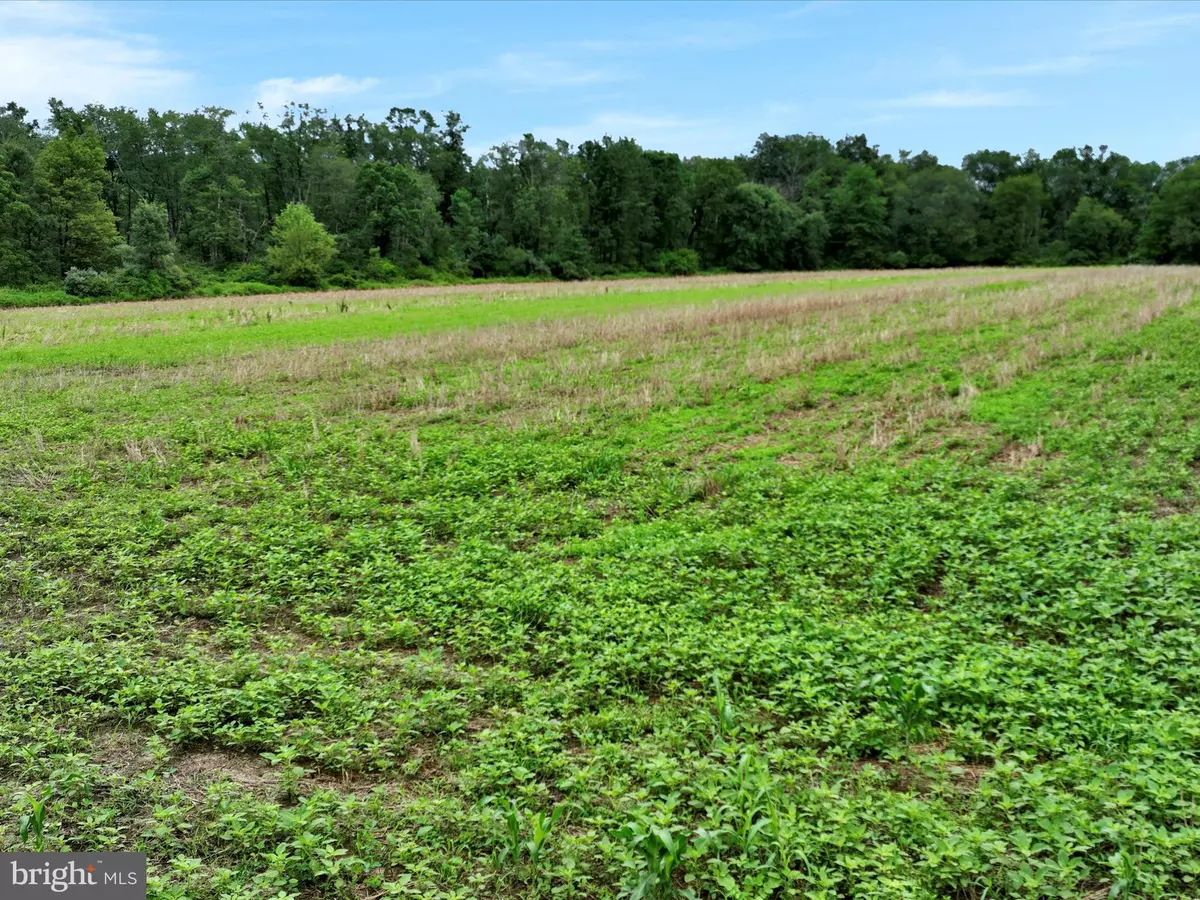 Schuylkill Haven, PA 17972,MOYERS STATION ROAD