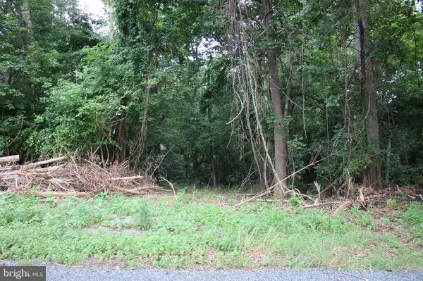 Front Royal, VA 22630,SUGAR MAPLE RD