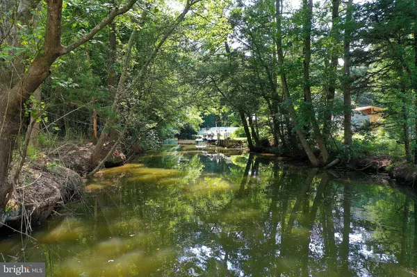 Bishopville, MD 21813,12227 SWAN LN