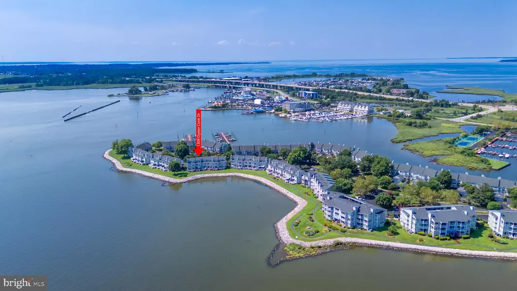 1309 OYSTER COVE DR, Grasonville, MD 21638