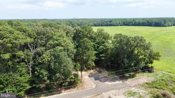 Millsboro, DE 19966,S/MOUNT JOY RD LOT 2