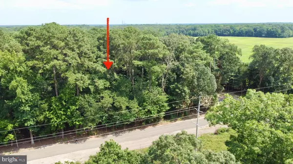 Millsboro, DE 19966,S/MOUNT JOY RD LOT 2