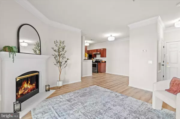 Mclean, VA 22102,1571 SPRING GATE DR #6213