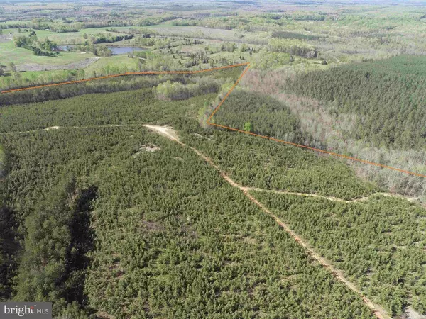 New Canton, VA 23123,CABELL LANE (TRACT: 5810 THOMAS M. BROOKS)