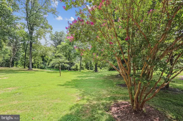 Knoxville, MD 21758,18158 MORGAN PINE RD