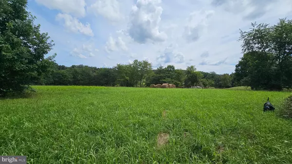 Capon Bridge, WV 26711,GREEN MEADOWS DR