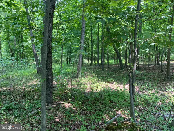 Greencastle, PA 17225,21A COOL HOLLOW RD