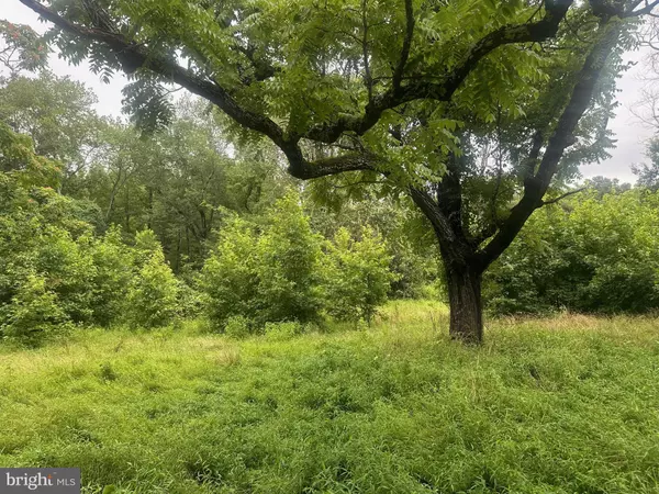 Marbury, MD 20658,5485 SCHOOL HOUSE RD