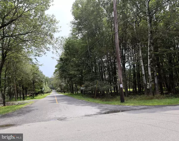 Albrightsville, PA 18210,STONY MOUNTAIN RD #974V