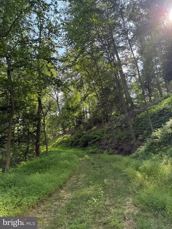 Wernersville, PA 19565,CUSHION PEAK RD