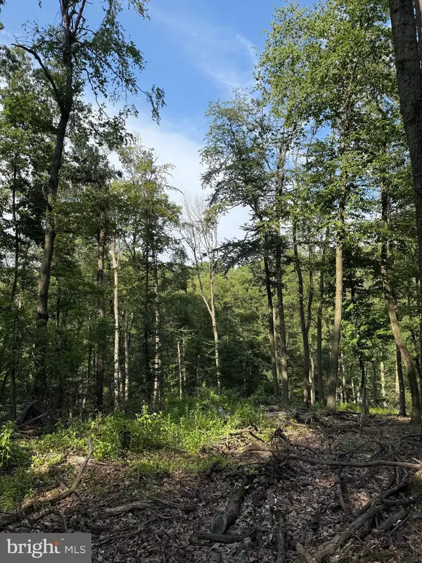 Wernersville, PA 19565,CUSHION PEAK RD