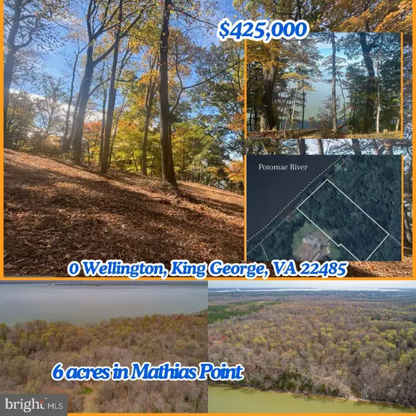 0 WELLINGTON, King George, VA 22485