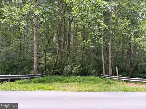 0 WEAVER ROAD, Amissville, VA 20106