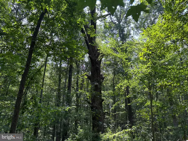 Amissville, VA 20106,0 WEAVER ROAD
