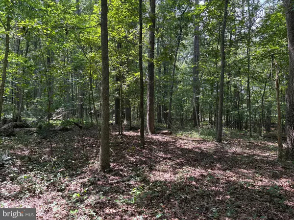 Amissville, VA 20106,0 WEAVER ROAD