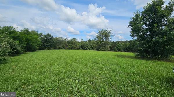 Capon Bridge, WV 26711,11 WISTERIA RIDGE RD