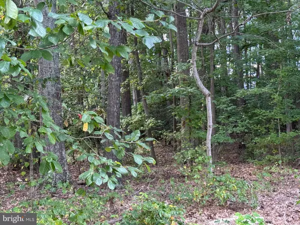 Leonardtown, MD 20650,LONG LEAF LANE